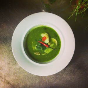 peruvian chicken and coriander soup